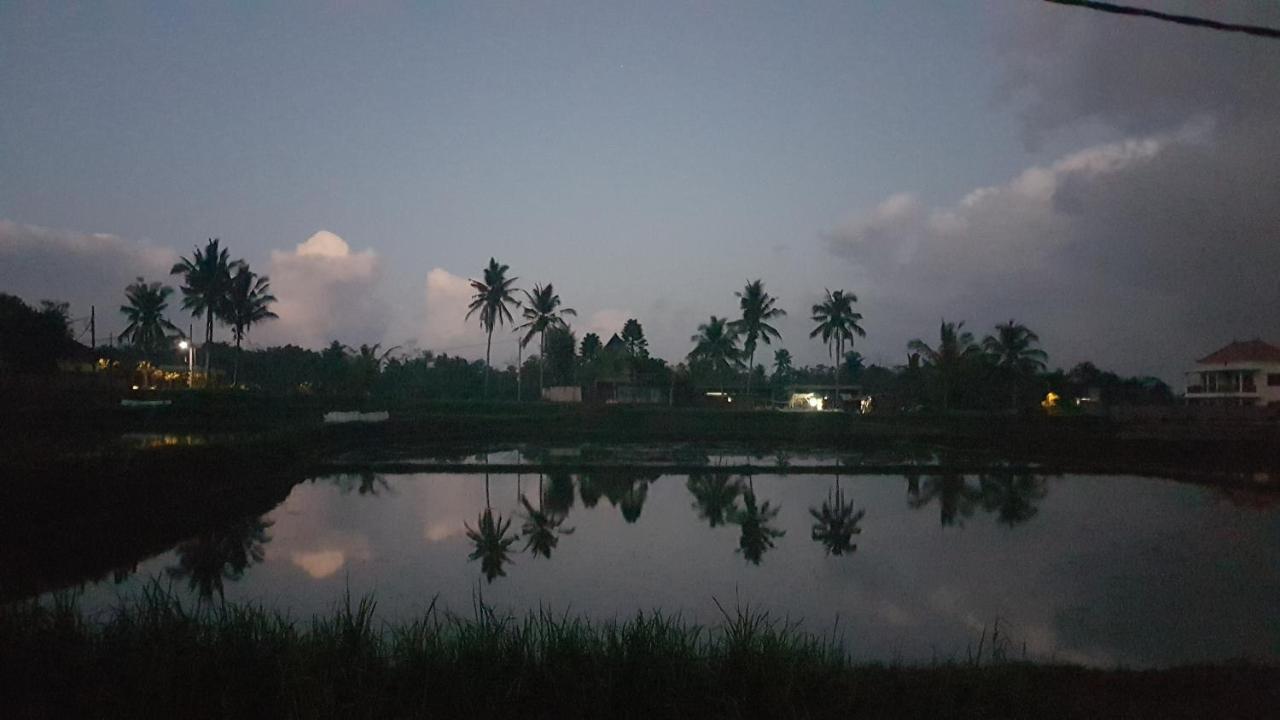 Buda Cottage Ubud Екстер'єр фото